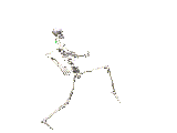 scary skeleton
